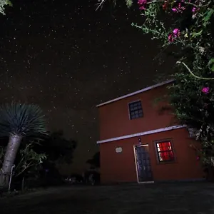 Bodega Goyo Apartment Puntallana